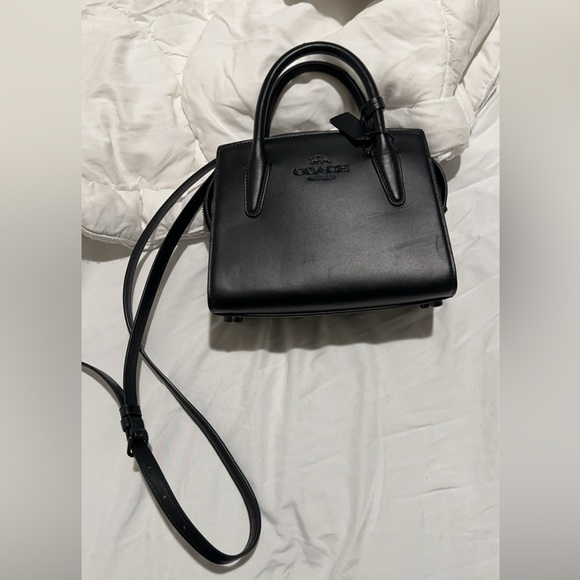 Coach Andrea Carryall - Picture 8 of 10